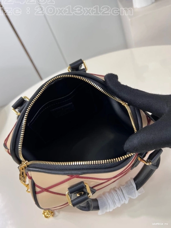 WIS VUITTON BANDOULIÈRE SPEEDY 20 LOUIS 0307
